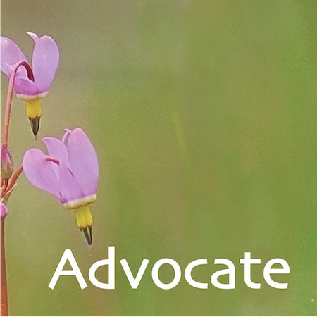 Purple heart-shaped flower pointing at the word "Advocate"