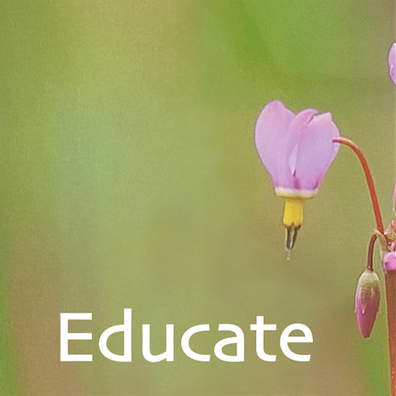 Purple Heart flower pointing at the word "Educate"